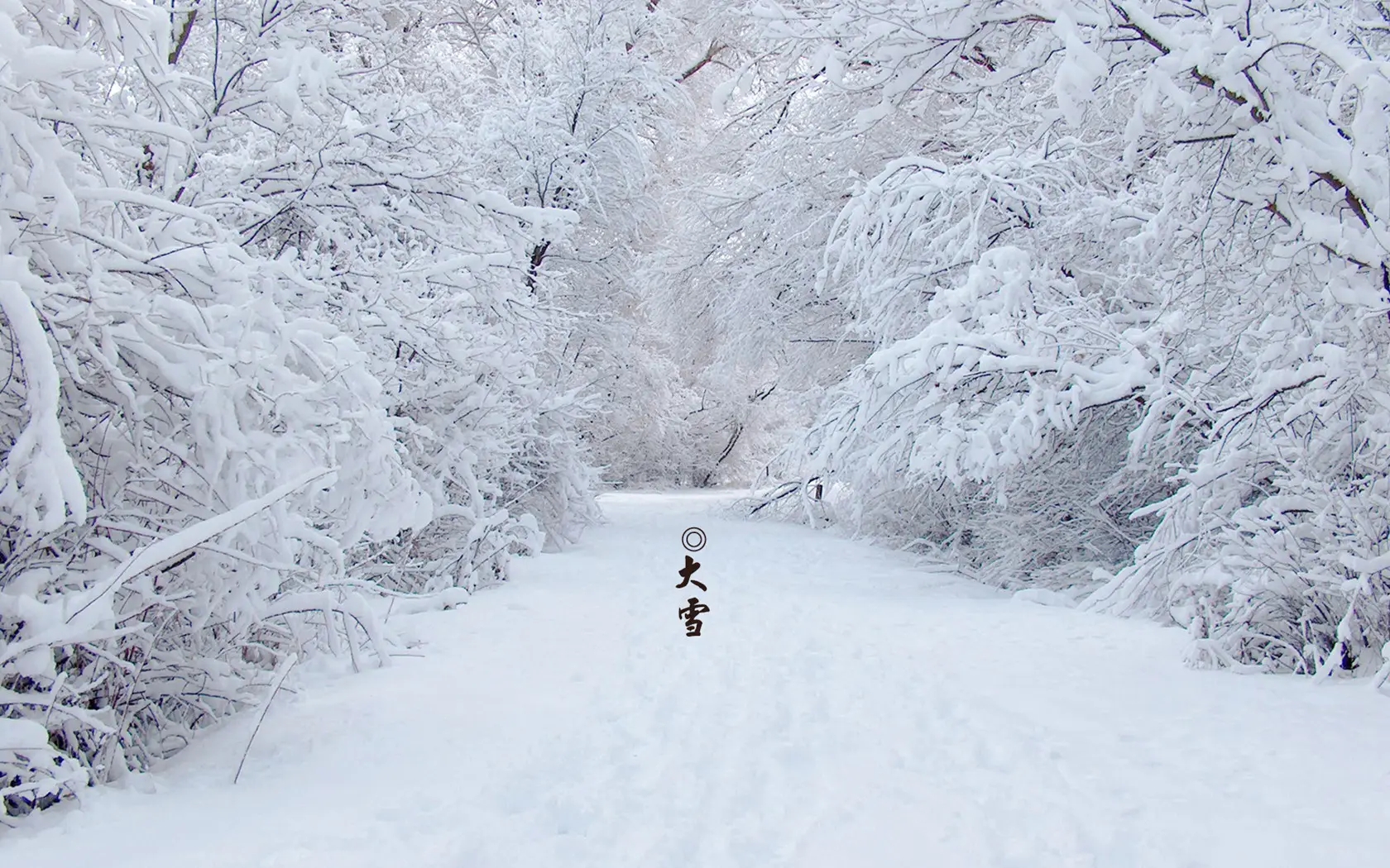 大（dà）雪